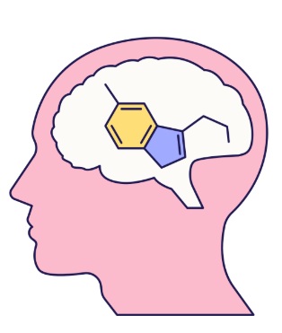 The Happy Hormone- Serotonin