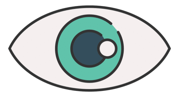 Imagery and Visualisation Techniques
