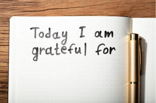 Your Mental Toolkit – Cultivating Clarity with Gratitude for Perspective